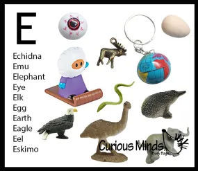 z ALPHABET OBJECTS BY LETTER E